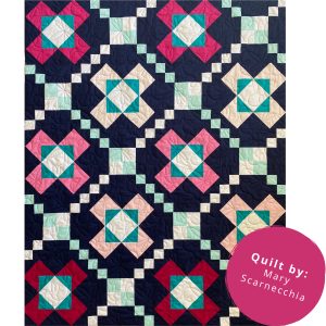 Boxed In Irish Chain Quilt by Mary Scarnecchia